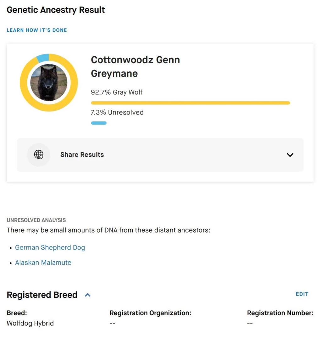 Genn Embark Certificate